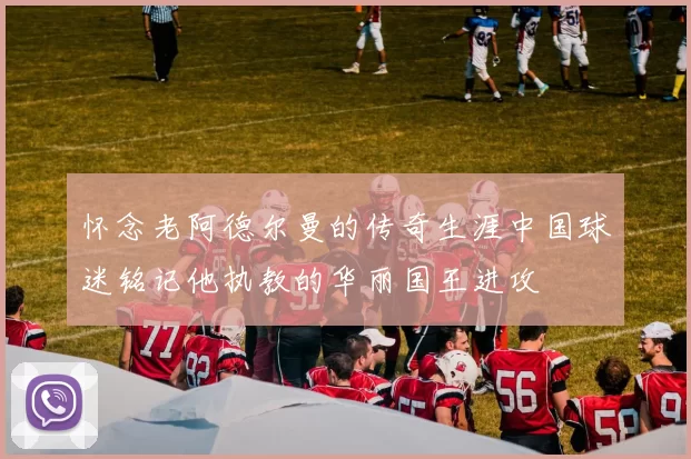 怀念老阿德尔曼的传奇生涯中国球迷铭记他执教的华丽国王进攻
