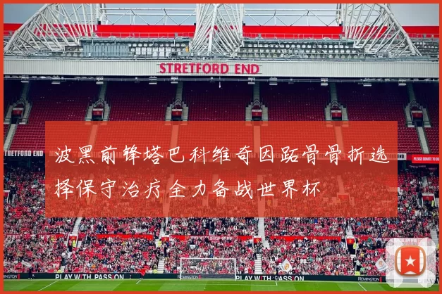波黑前锋塔巴科维奇因跖骨骨折选择保守治疗全力备战世界杯